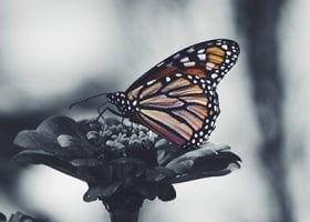 Transform Your Career Post-Divorce