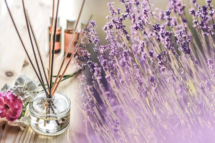Worthy_Renew_Energy_Article_0517_Inner_697x465_Aromatherapy_02 (1)