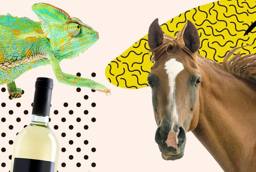 Green Eggs, Ham And Iguanas: Valuing Unusual Marital Assets During Divorce