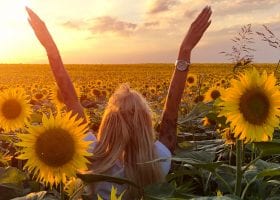 Healing After Divorce