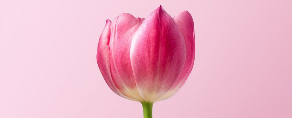 infertility and divorce