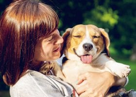pet custody