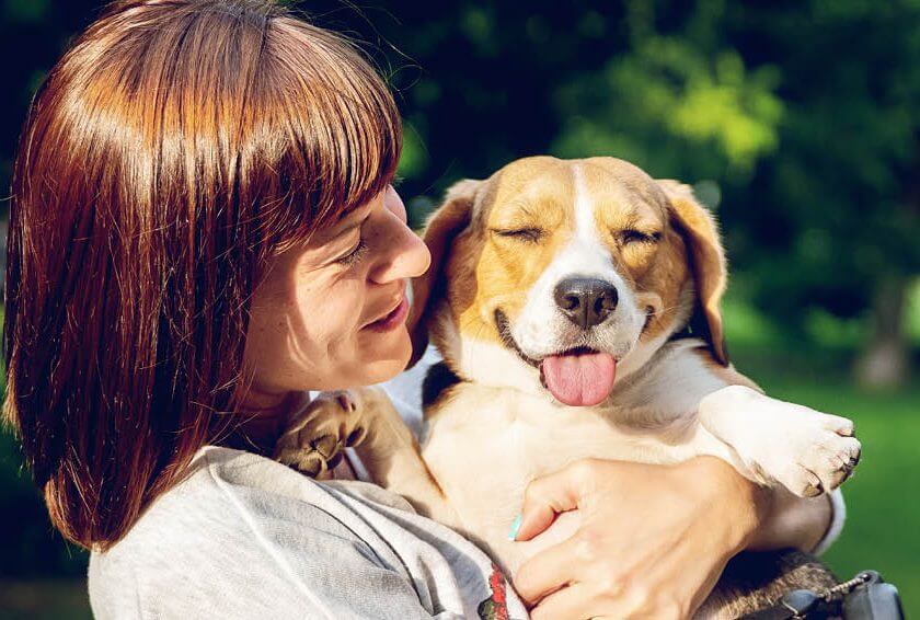 Fighting Over Fido: What to Do When You Need A Custody Agreement For Your Pet